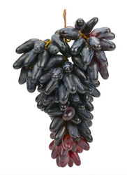 Similar image 12985166