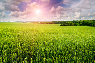 Similar image 12985167