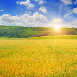 Similar image 12985170