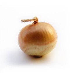 Similar image 12985699