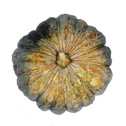 Similar image 12985759