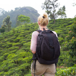 Similar image 12985026