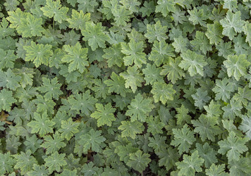 Similar image 12995630