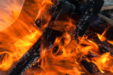 Similar image 12981654