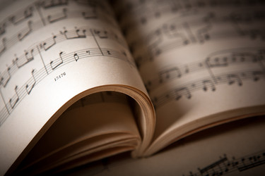 Similar image 12980870