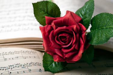 Similar image 12980871