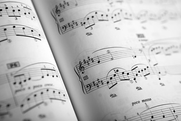 Similar image 12980881