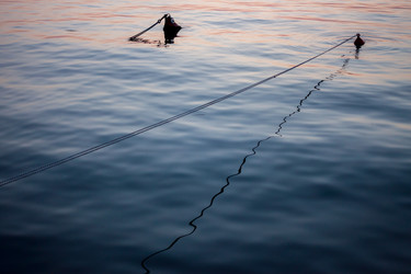 Similar image 12996485