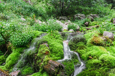 Similar image 12988146