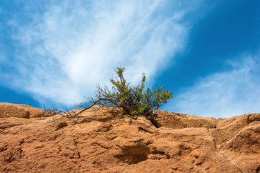 Similar image 12988806