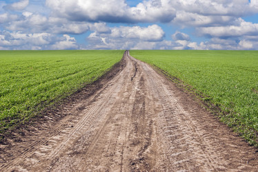 Similar image 12987572