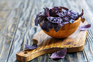 Similar image 12981421