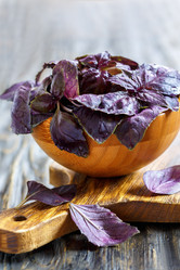 Similar image 12981422