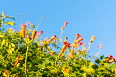 Similar image 12984947