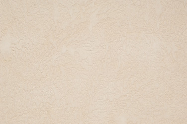 Similar image 12981680