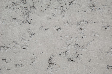 Similar image 12981686