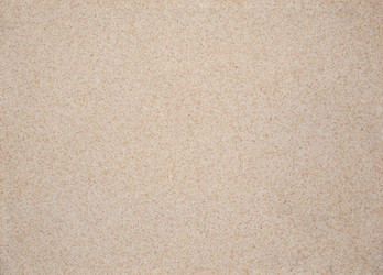 Similar image 12981687