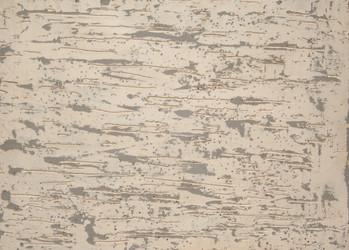 Similar image 12981691