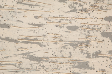 Similar image 12981692