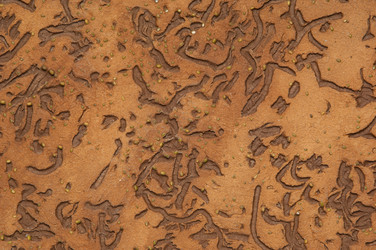 Similar image 12981693