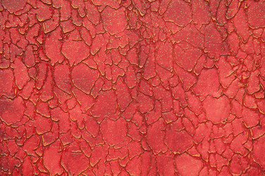 Similar image 12981630