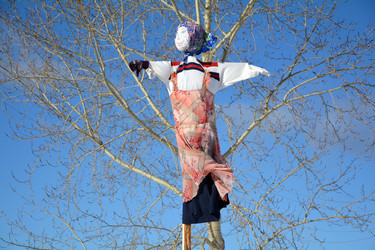 Similar image 12987188