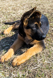 Similar image 12987447