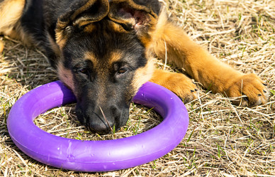 Similar image 12987448