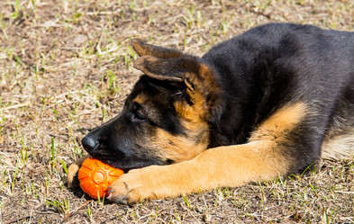 Similar image 12987412