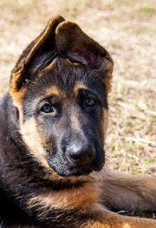 Similar image 12987420