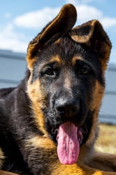 Similar image 12987421