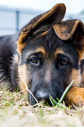 Similar image 12987422