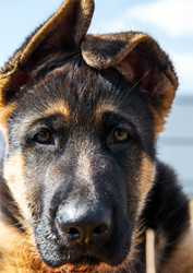 Similar image 12987423