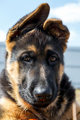 Similar image 12987424