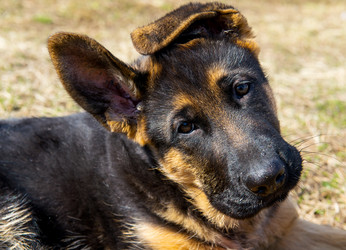 Similar image 12987427