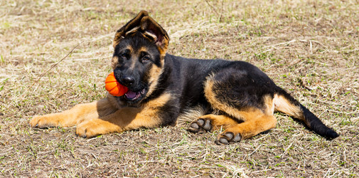 Similar image 12987428