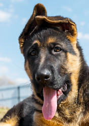 Similar image 12987430