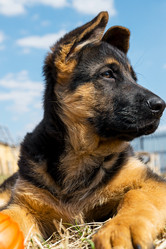 Similar image 12987431