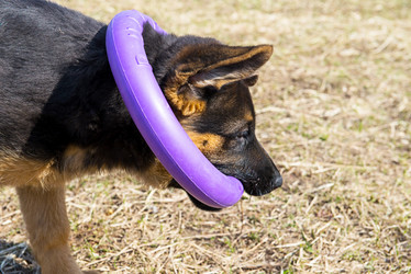 Similar image 12987449