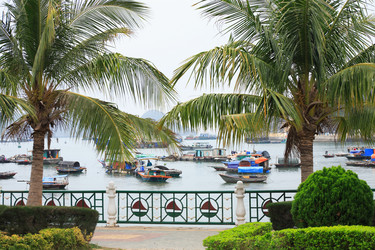 Similar image 12985719