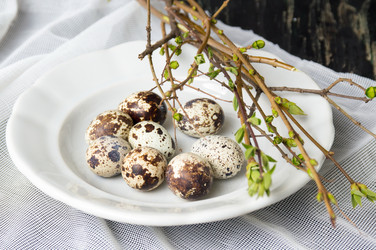 Similar image 12984772