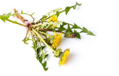 Similar image 12984795