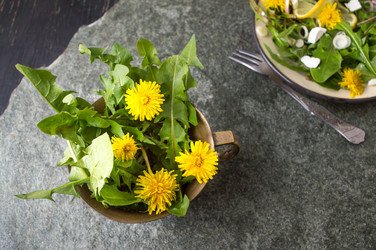 Similar image 12984811