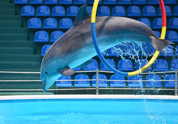 Similar image 12987848