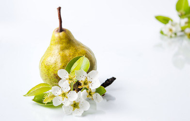 Similar image 12984827