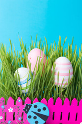 Similar image 12984785