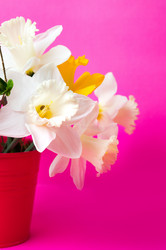 Similar image 12984786