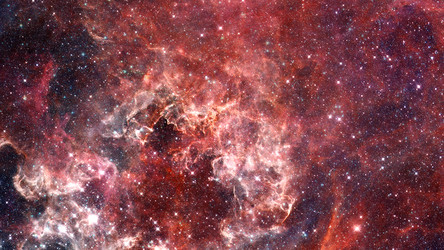 Similar image 13001078