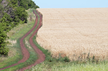 Similar image 12986190