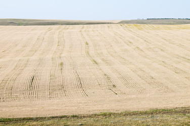 Similar image 12986224